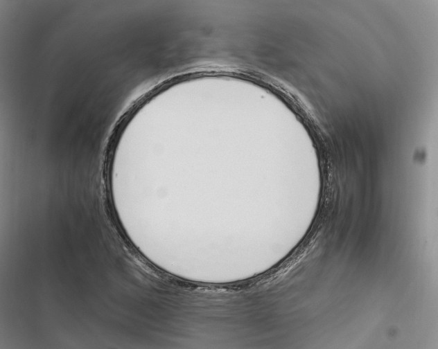 X0000116821168201001151159