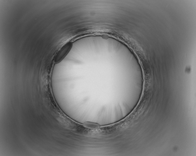 X0000116821169201001151159