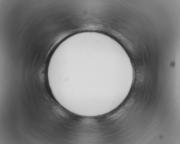 X0000116821170201001151159