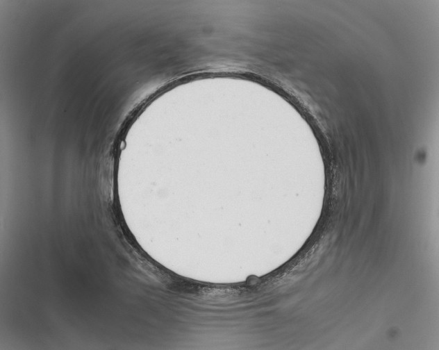 X0000116821171201001151159