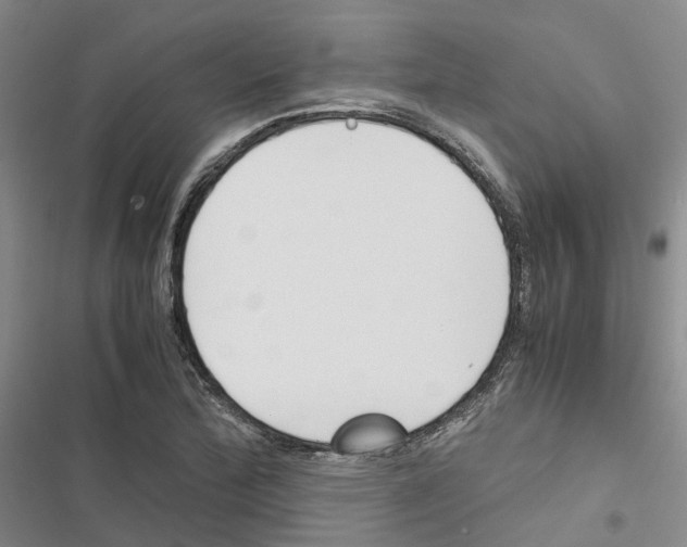 X0000116821172201001151159