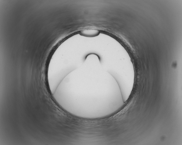 X0000116821173201001151159