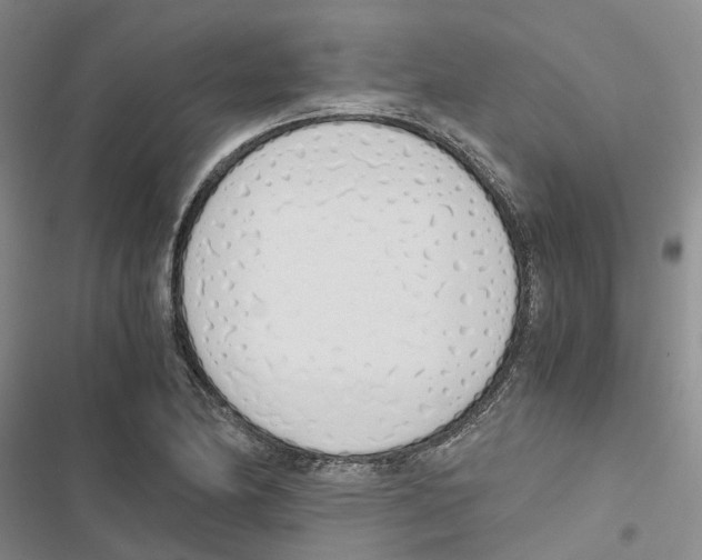 X0000116821174201001151159