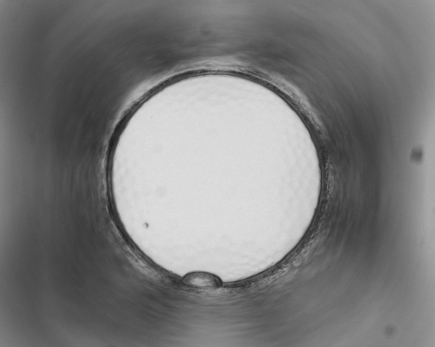 X0000116821176201001151159