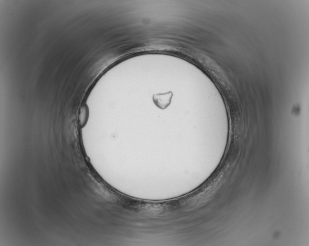 X0000116821177201001151159