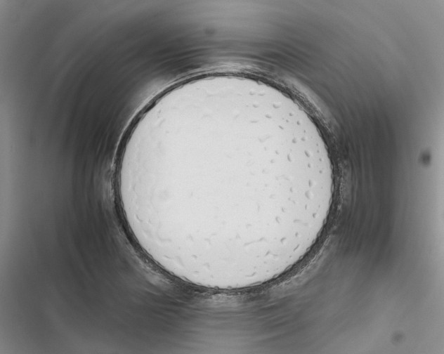 X0000116821178201001151159