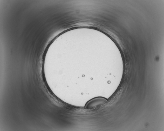 X0000116821179201001151159