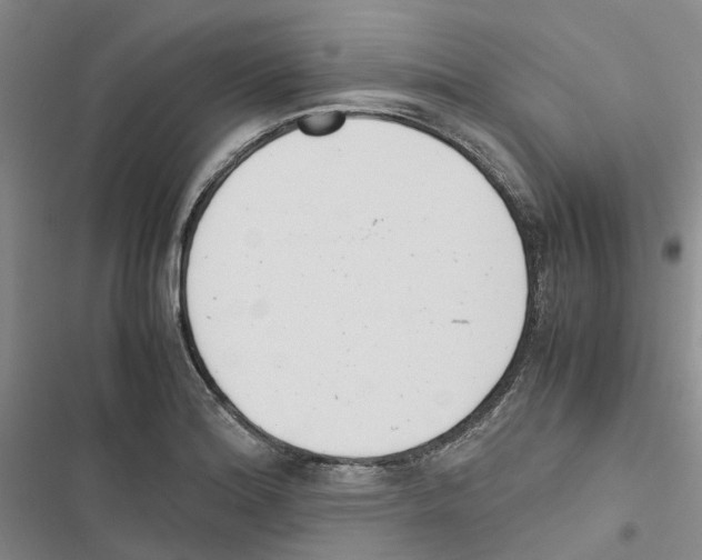 X0000116821180201001151159