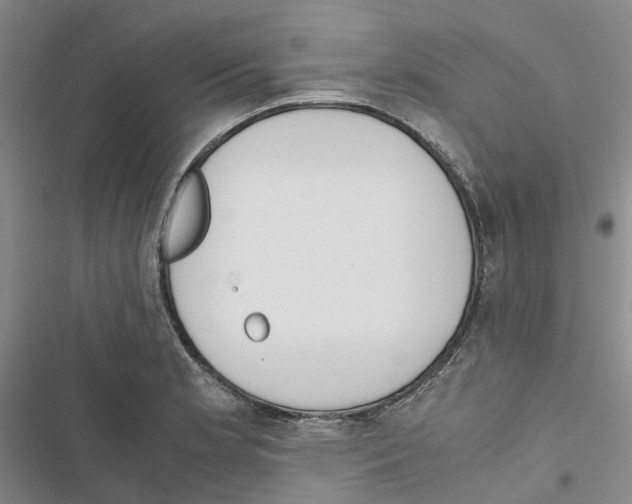 X0000116821181201001151159