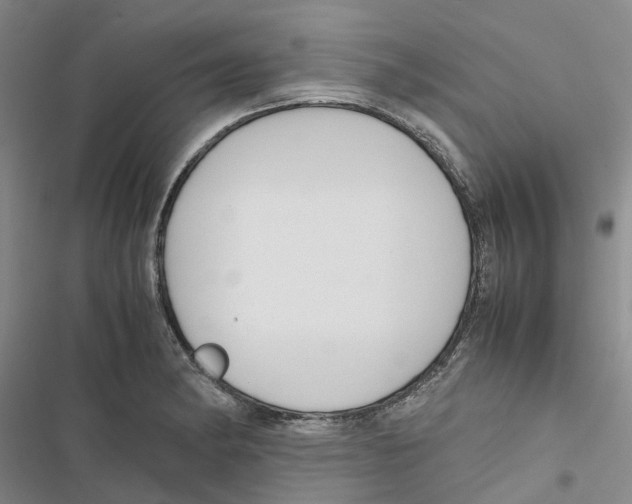 X0000116821182201001151159