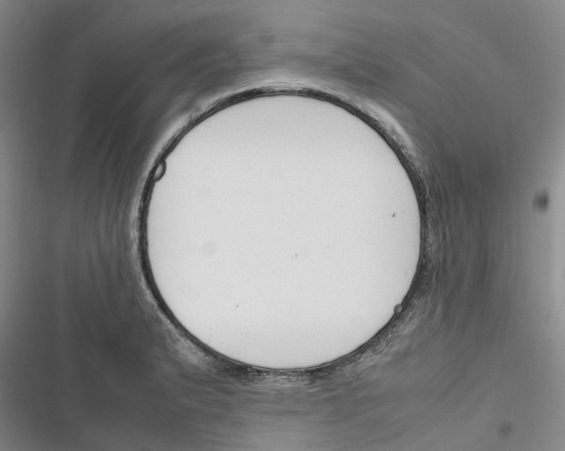 X0000116821183201001151158