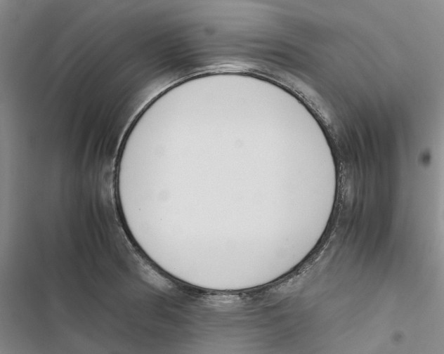 X0000116821186201001151158