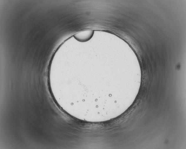 X0000116821187201001151158