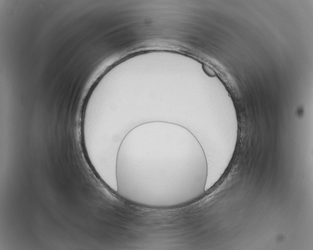 X0000116821188201001151158