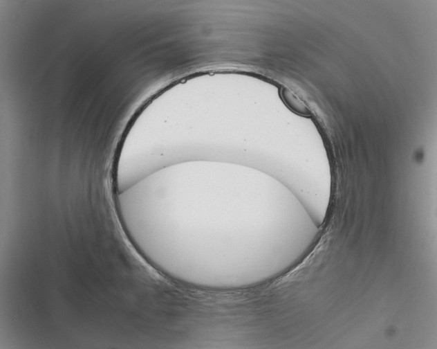 X0000116821189201001151158