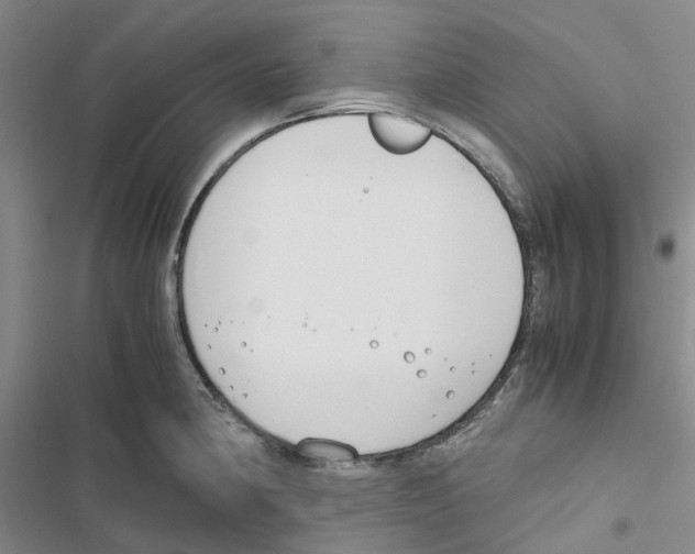 X0000116821190201001151158