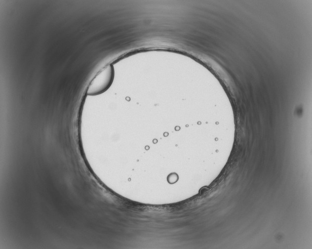 X0000116821191201001151158