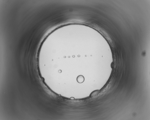 X0000116821192201001151158