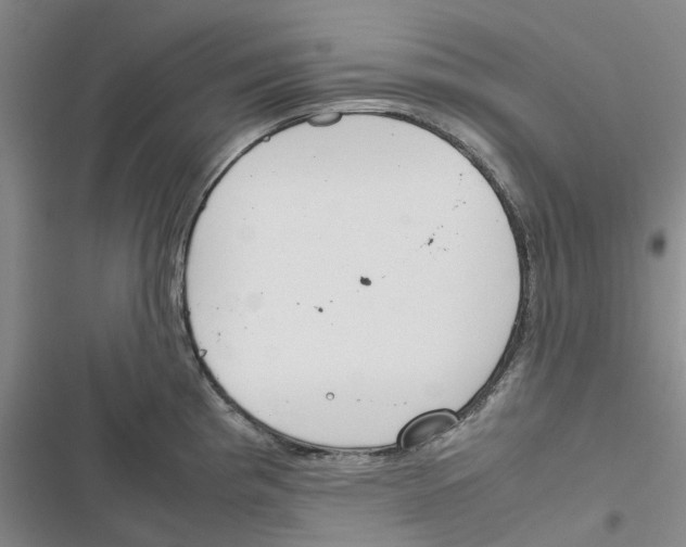 X0000116821193201001151158