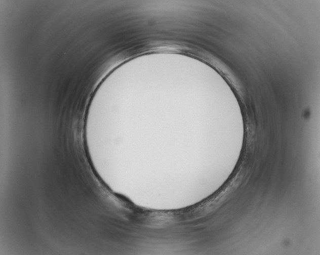 X0000116821194201001151158