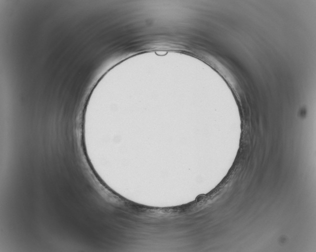 X0000116821195201001151158