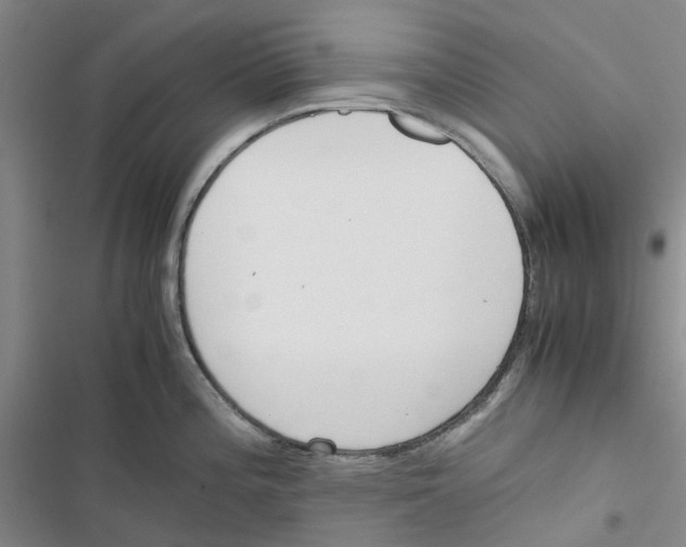 X0000116821196201001151158