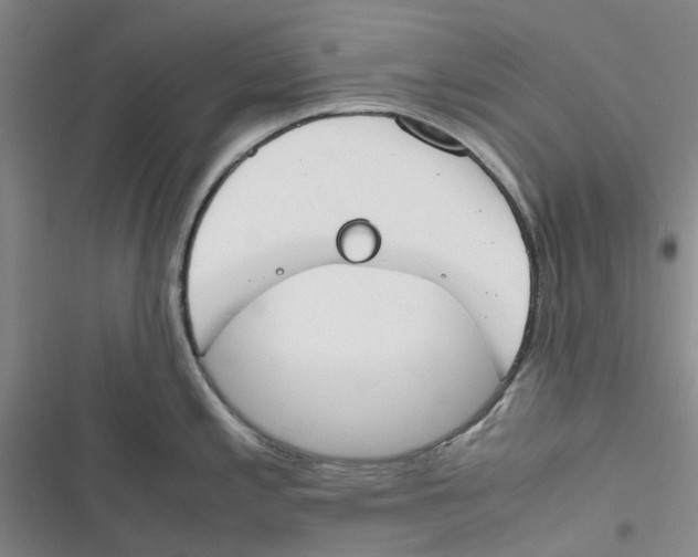 X0000116821197201001151158