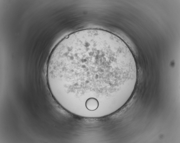 X0000116821198201001151158