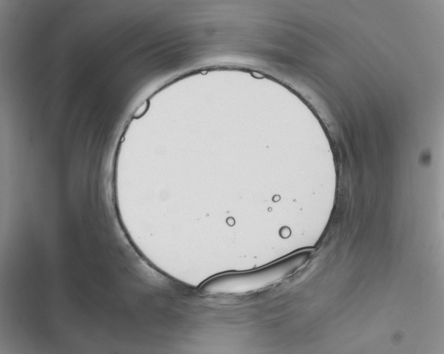 X0000116821199201001151158