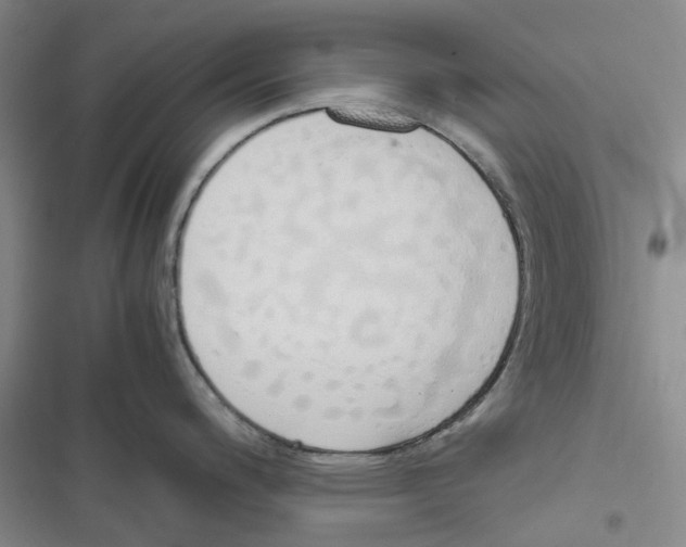 X0000116821200201001151158