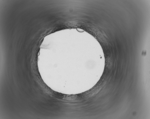 X0000116821201201001151158