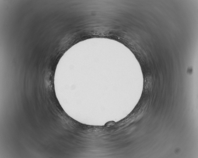 X0000116821202201001151158