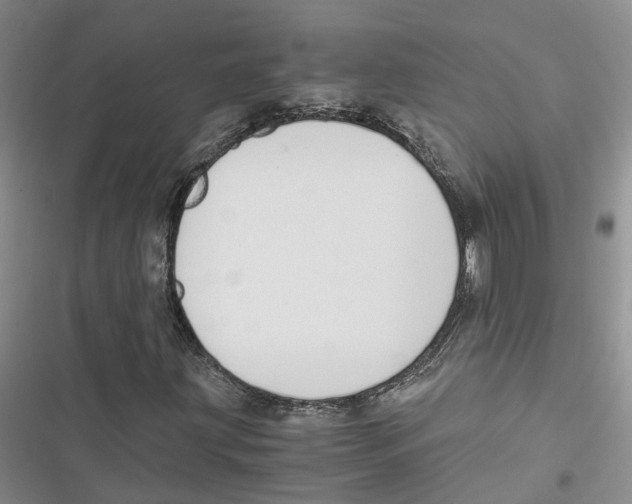 X0000116821203201001151158