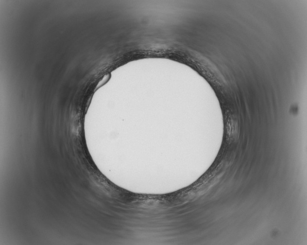 X0000116821204201001151158