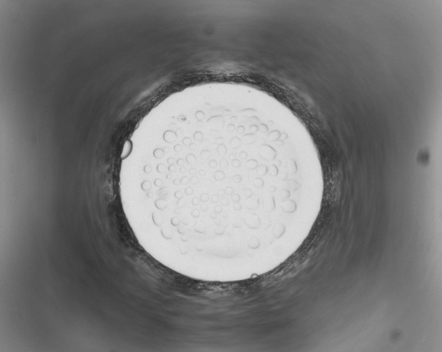 X0000116821205201001151158