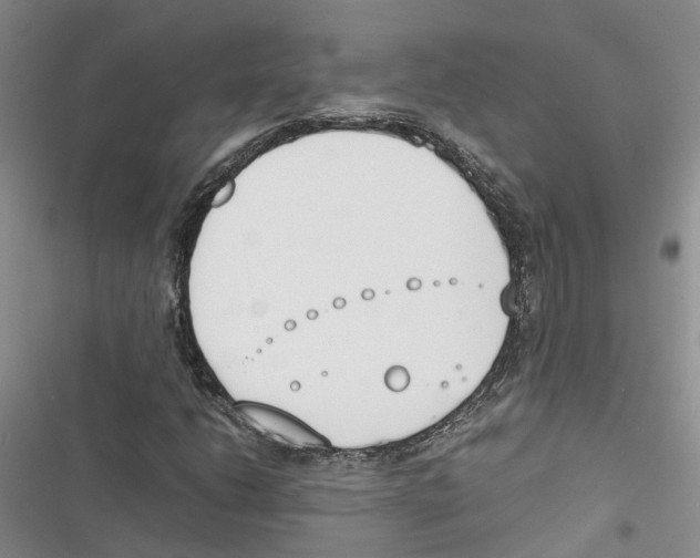 X0000116821206201001151158