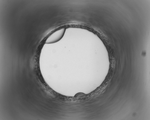 X0000116821208201001151158