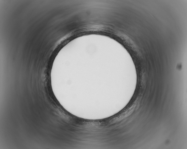 X0000116821210201001151158