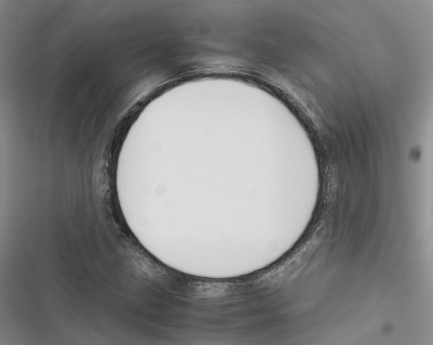 X0000116821211201001151158