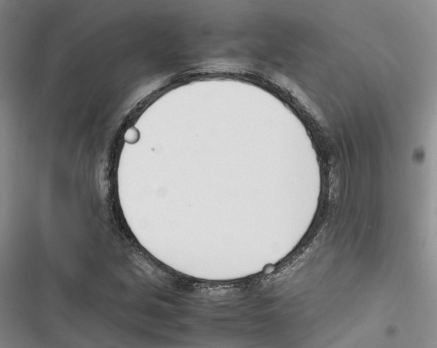 X0000116821213201001151158