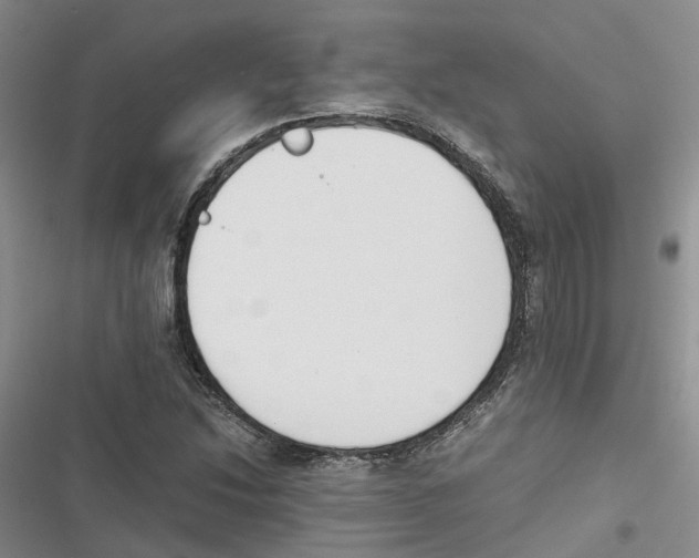 X0000116821214201001151158