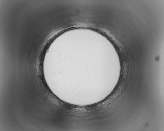 X0000116821215201001151158