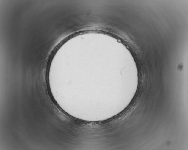 X0000116821216201001151158