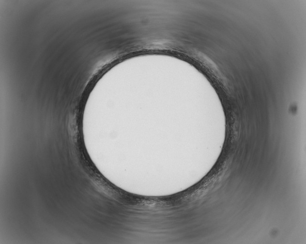 X0000116821218201001151158