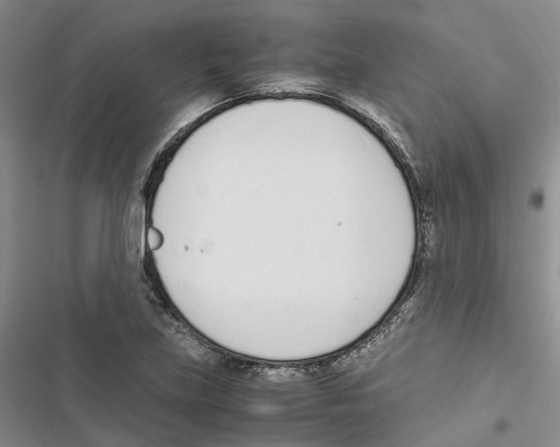 X0000116821219201001151158