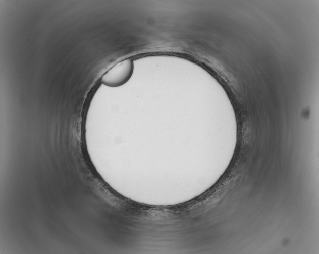 X0000116821220201001151158