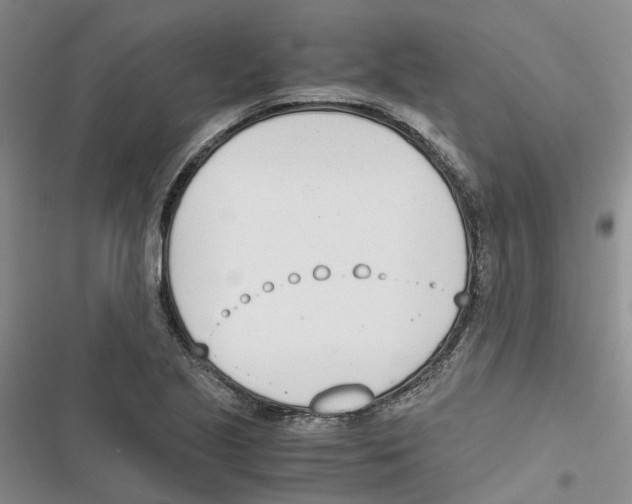 X0000116821221201001151158