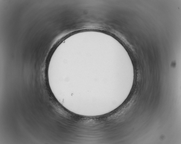 X0000116821222201001151158