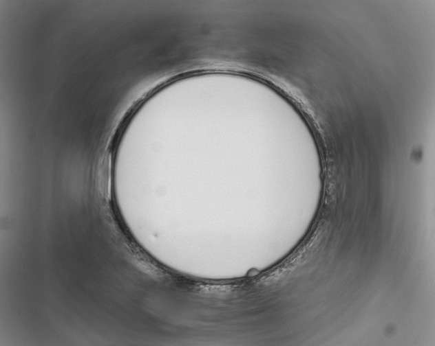 X0000116821223201001151158