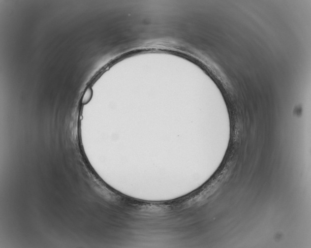 X0000116821224201001151158